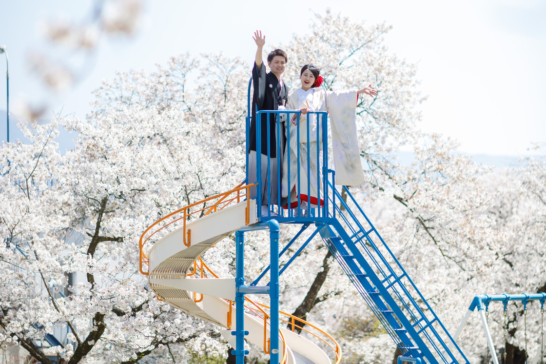 桜の咲く公園で、すべり台の上からロケーションフォト